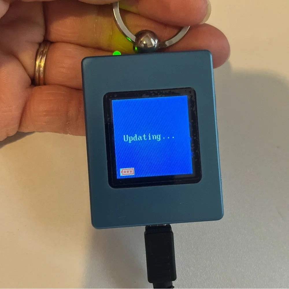 The Sharper Image Digital Photo Keychain USB 2.0 Rechargeable